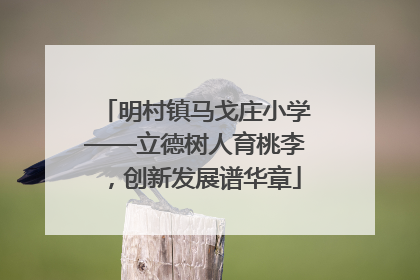 明村镇马戈庄小学——立德树人育桃李，创新发展谱华章