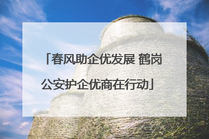 春风助企优发展 鹤岗公安护企优商在行动