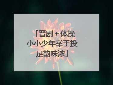 晋剧＋体操 小小少年举手投足韵味浓