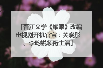 晋江文学《耀眼》改编电视剧开机官宣：关晓彤、李昀锐领衔主演