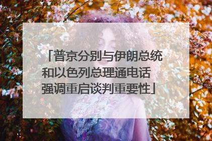 普京分别与伊朗总统和以色列总理通电话 强调重启谈判重要性