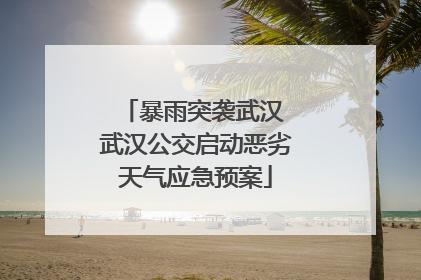 暴雨突袭武汉 武汉公交启动恶劣天气应急预案