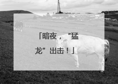 暗夜，“猛龙”出击！