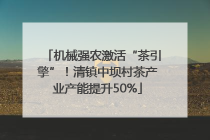 机械强农激活“茶引擎”！清镇中坝村茶产业产能提升50%