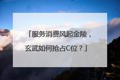 服务消费风起金陵，玄武如何抢占C位？