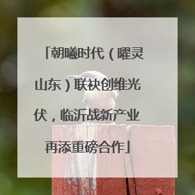 朝曦时代（曜灵山东）联袂创维光伏，临沂战新产业再添重磅合作
