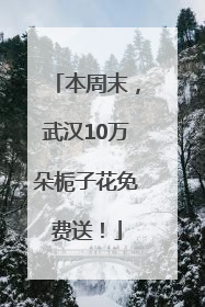 本周末，武汉10万朵栀子花免费送！