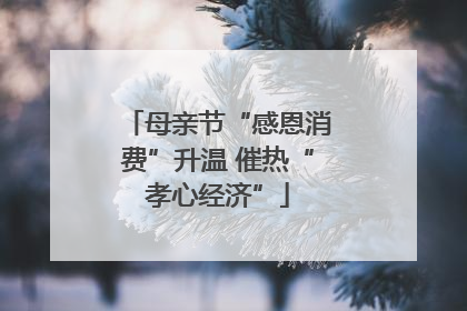 母亲节“感恩消费”升温 催热“孝心经济”