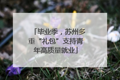 毕业季，苏州多重“礼包”支持青年高质量就业