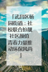 武昌区杨园街道：社校联合扮靓社区颜值 青春力量推动环保风尚
