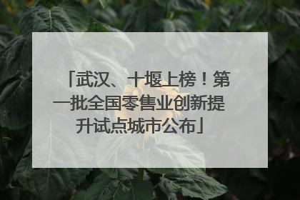 武汉、十堰上榜！第一批全国零售业创新提升试点城市公布