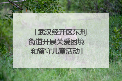 武汉经开区东荆街道开展关爱困境和留守儿童活动
