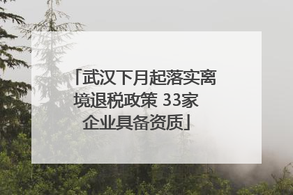 武汉下月起落实离境退税政策 33家企业具备资质