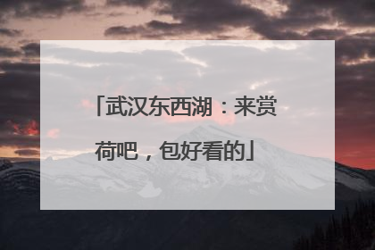 武汉东西湖：来赏荷吧，包好看的