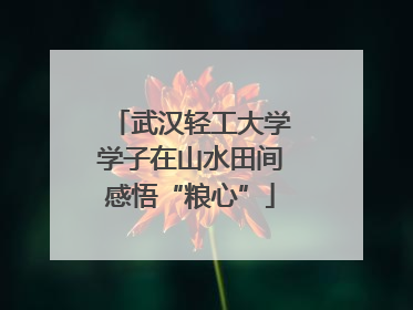 武汉轻工大学学子在山水田间感悟“粮心”
