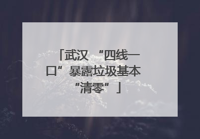 武汉 “四线一口”暴露垃圾基本 “清零”