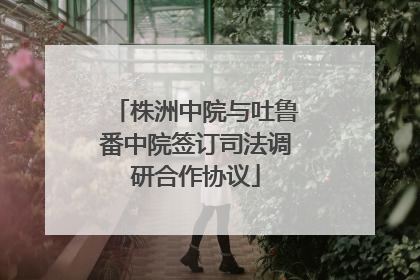 株洲中院与吐鲁番中院签订司法调研合作协议
