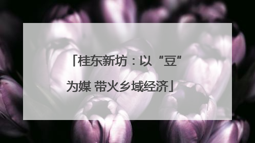 桂东新坊：以“豆”为媒 带火乡域经济