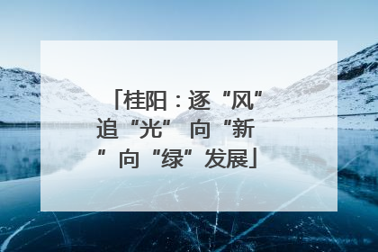 桂阳：逐“风”追“光” 向“新”向“绿”发展