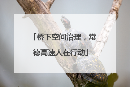 桥下空间治理，常德高速人在行动