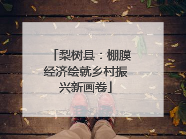梨树县：棚膜经济绘就乡村振兴新画卷