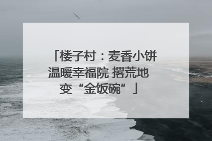 楼子村：麦香小饼温暖幸福院 撂荒地变“金饭碗”
