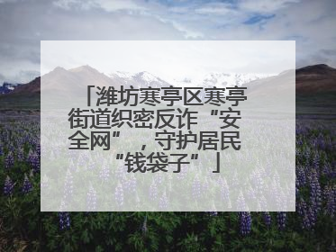 潍坊寒亭区寒亭街道织密反诈“安全网”，守护居民“钱袋子”