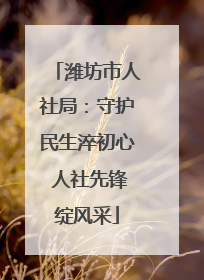 潍坊市人社局：守护民生淬初心 人社先锋绽风采