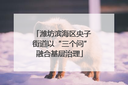 潍坊滨海区央子街道以“三个问”融合基层治理