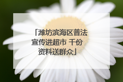 潍坊滨海区普法宣传进超市 千份资料送群众
