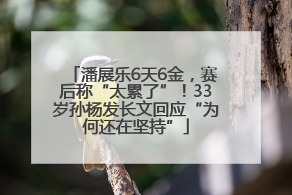潘展乐6天6金，赛后称“太累了”！33岁孙杨发长文回应“为何还在坚持”