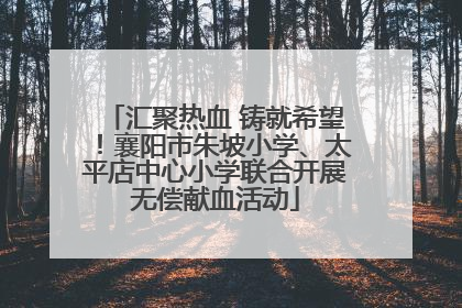 汇聚热血 铸就希望！襄阳市朱坡小学、太平店中心小学联合开展无偿献血活动