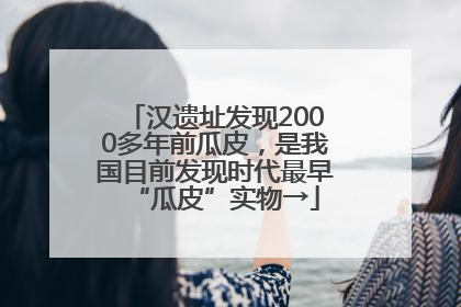 汉遗址发现2000多年前瓜皮，是我国目前发现时代最早“瓜皮”实物→