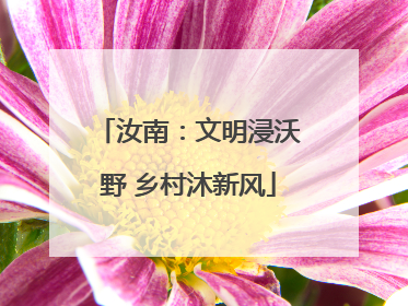 汝南：文明浸沃野 乡村沐新风