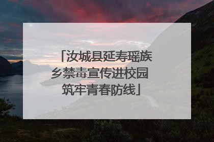汝城县延寿瑶族乡禁毒宣传进校园 筑牢青春防线