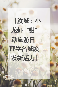 汝城：小龙虾“钳”动旅游日 理学名城焕发新活力
