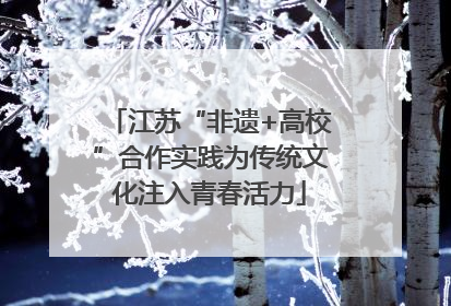 江苏“非遗+高校”合作实践为传统文化注入青春活力