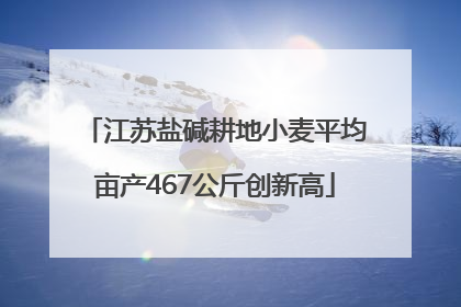 江苏盐碱耕地小麦平均亩产467公斤创新高