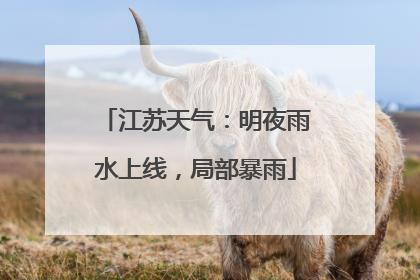 江苏天气：明夜雨水上线，局部暴雨