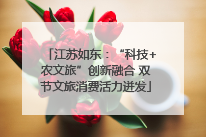 江苏如东：“科技+农文旅”创新融合 双节文旅消费活力迸发