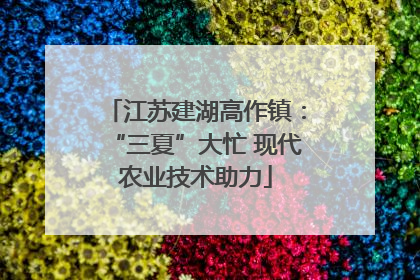 江苏建湖高作镇：“三夏”大忙 现代农业技术助力