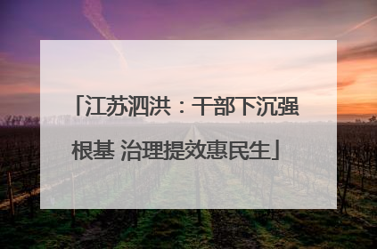 江苏泗洪：干部下沉强根基 治理提效惠民生