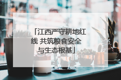 江西严守耕地红线 共筑粮食安全与生态根基