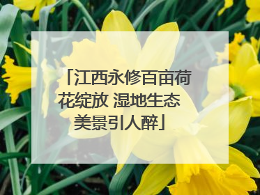 江西永修百亩荷花绽放 湿地生态美景引人醉