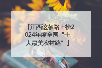 江西这条路上榜2024年度全国“十大最美农村路”