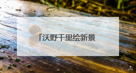 沃野千里绘新景 高标准农田保丰收