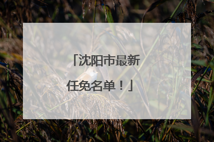 沈阳市最新任免名单！
