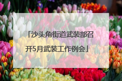沙头角街道武装部召开5月武装工作例会