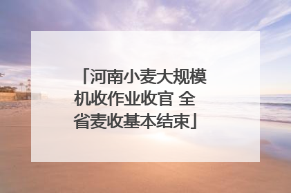 河南小麦大规模机收作业收官 全省麦收基本结束