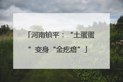 河南镇平：“土蛋蛋”变身“金疙瘩”